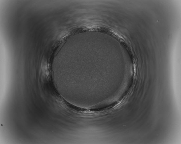 X0000087561156200704271221