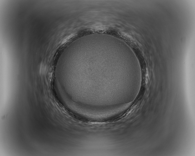 X0000087561157200704271221