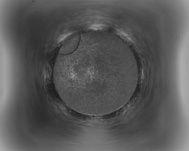 X0000087561158200704271221
