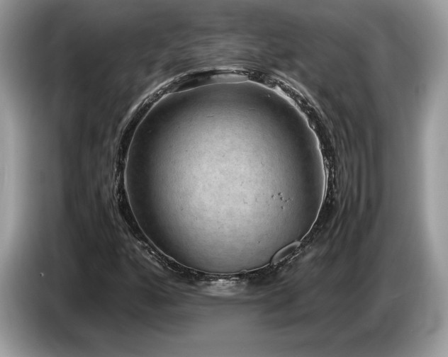 X0000087561160200704271221