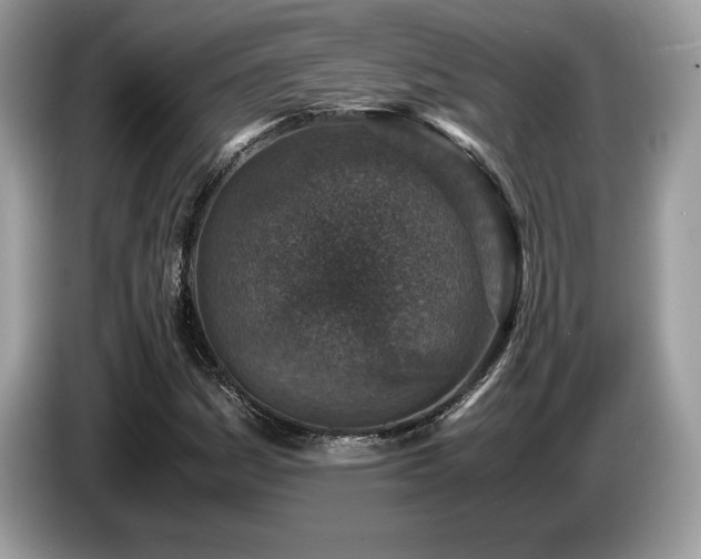 X0000087561161200704271221