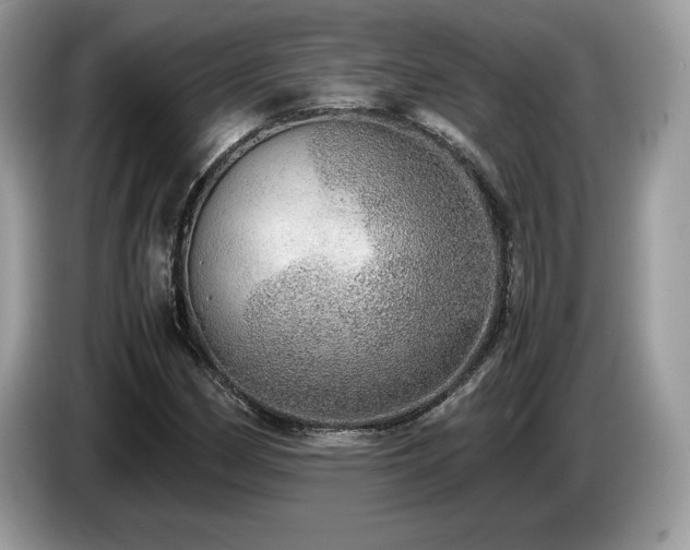 X0000087561162200704271221