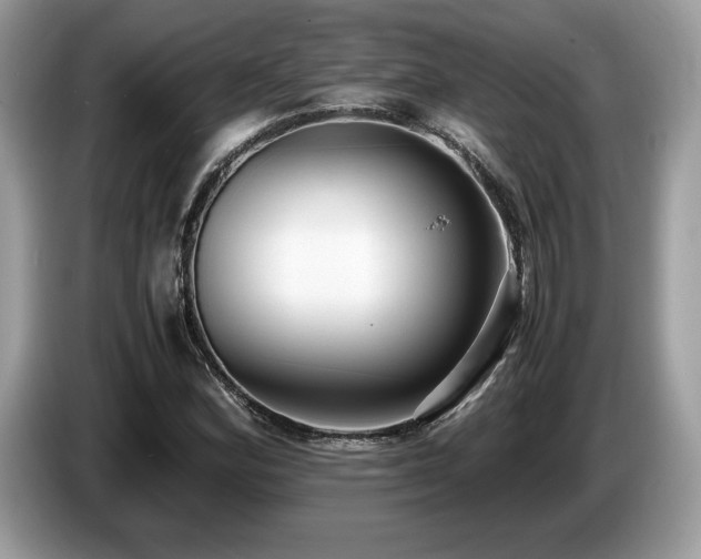X0000087561164200704271221