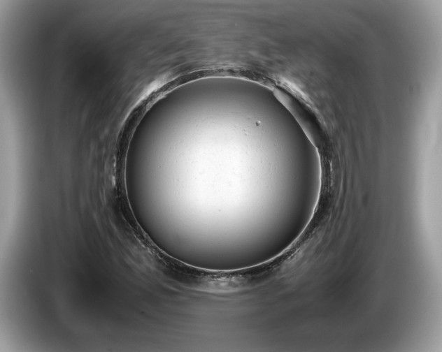 X0000087561165200704271221