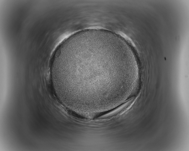 X0000087561167200704271221