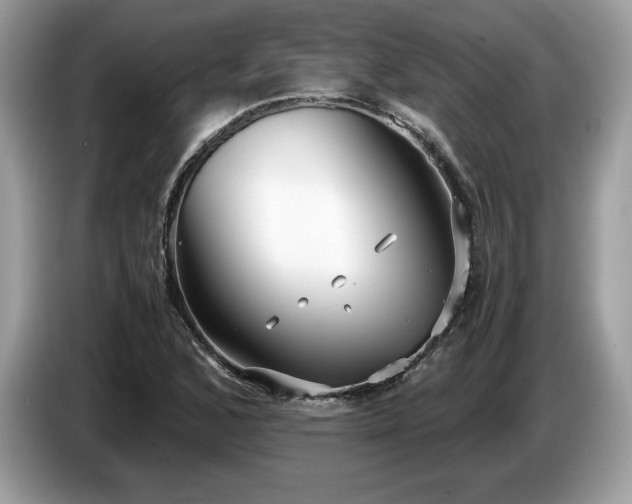 X0000087561168200704271221