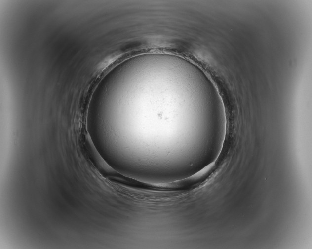 X0000087561169200704271221
