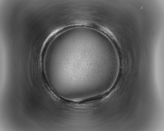 X0000087561172200704271221