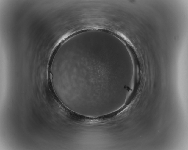 X0000087561173200704271221