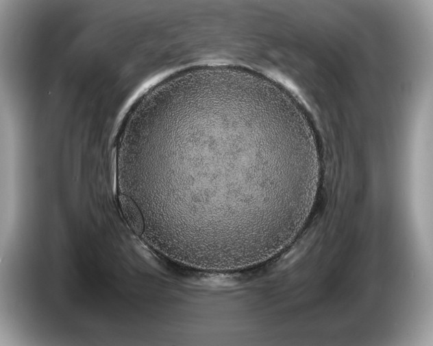 X0000087561175200704271221