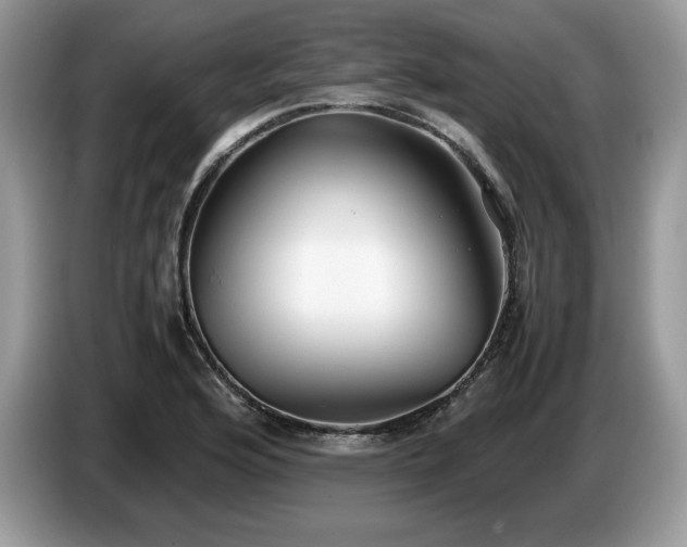 X0000087561176200704271221