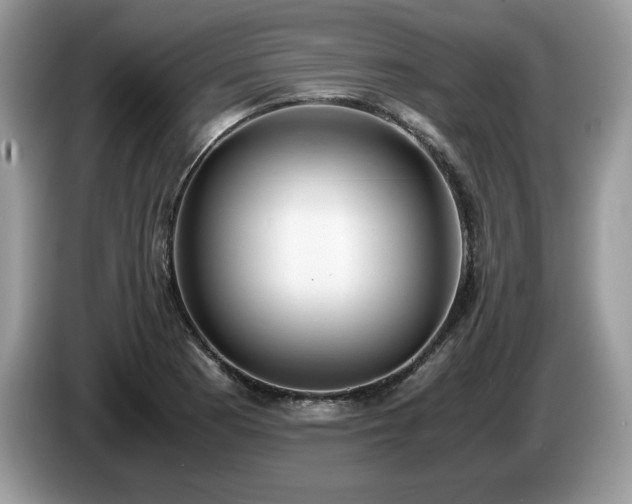 X0000087561177200704271221