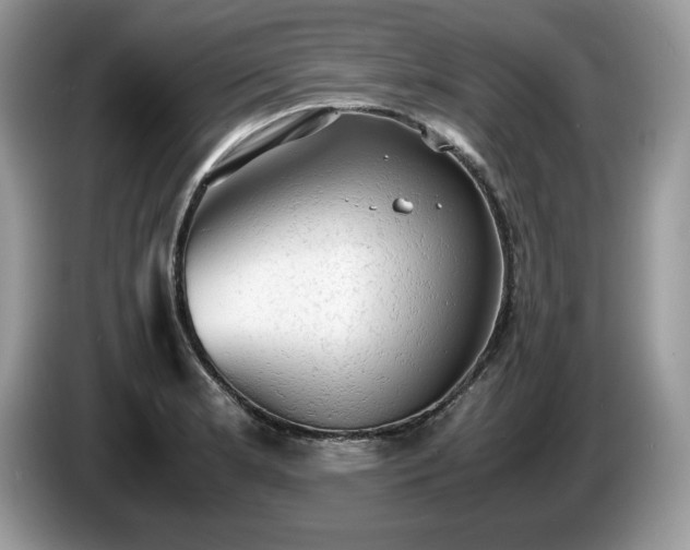 X0000087561181200704271221