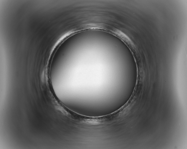 X0000087561182200704271221