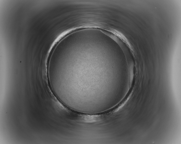 X0000087561184200704271221