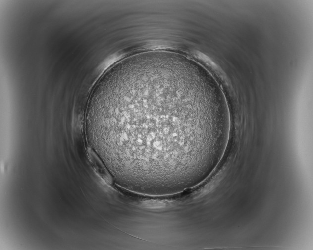 X0000087561185200704271221
