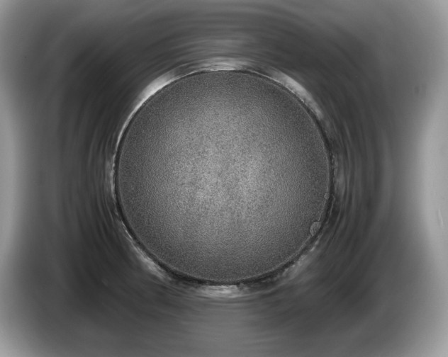 X0000087561186200704271221