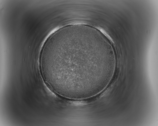 X0000087561189200704271220