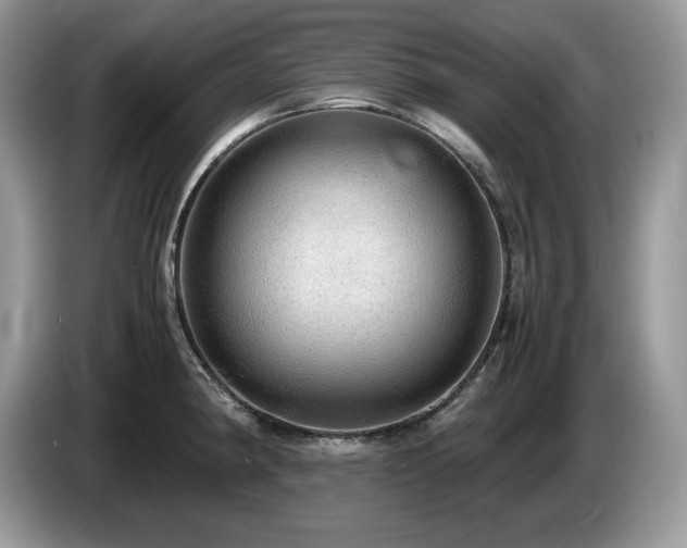 X0000087561190200704271220