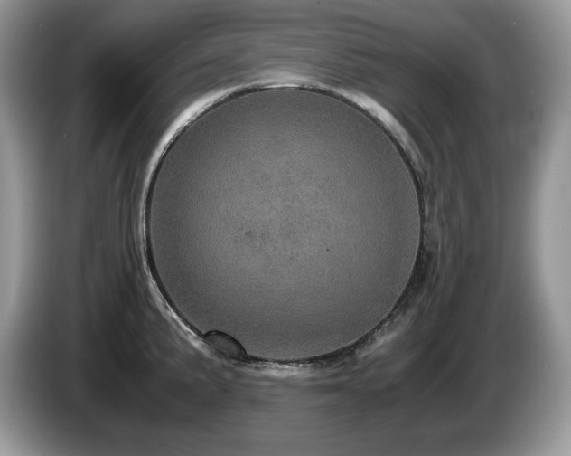 X0000087561191200704271220