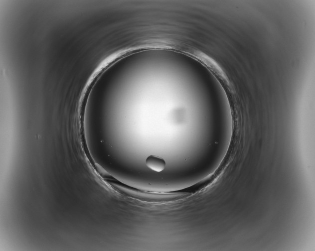 X0000087561192200704271220