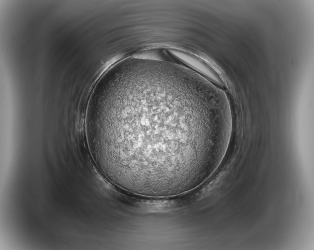 X0000087561193200704271220