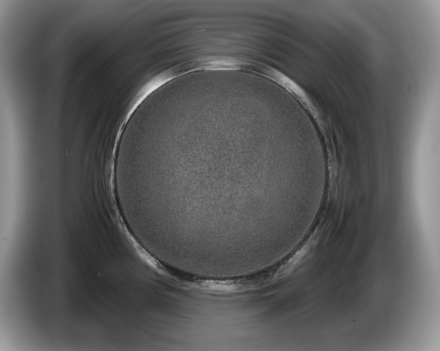 X0000087561194200704271220