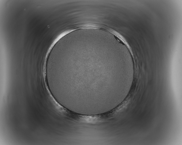 X0000087561195200704271220