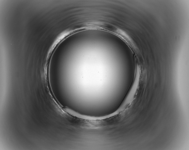X0000087561196200704271220