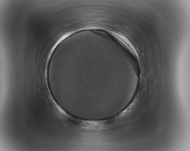 X0000087561197200704271220
