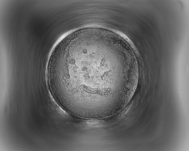 X0000087561199200704271220