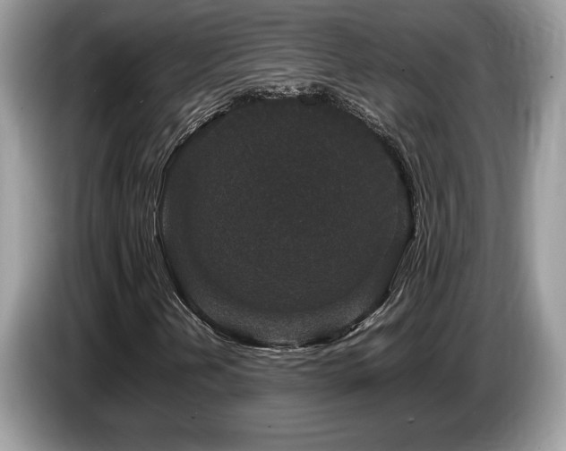 X0000087561202200704271220