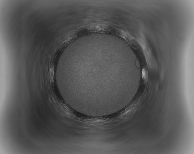 X0000087561203200704271220