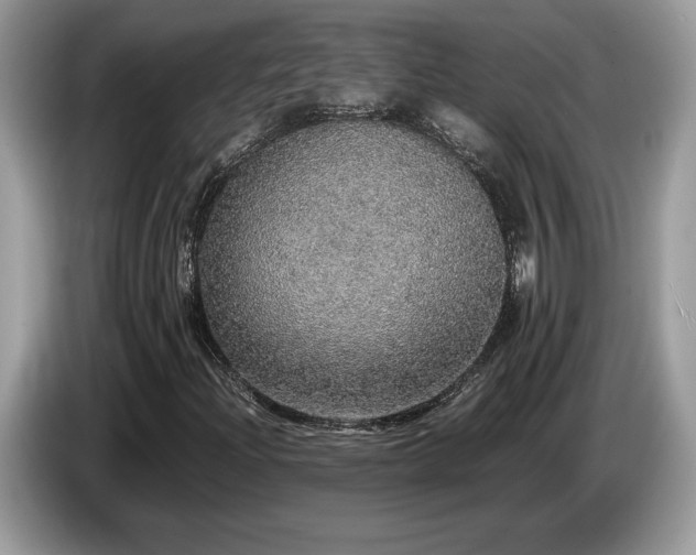 X0000087561204200704271220