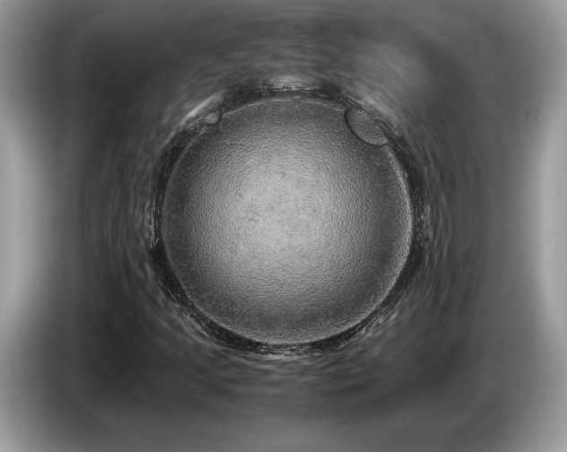 X0000087561205200704271220