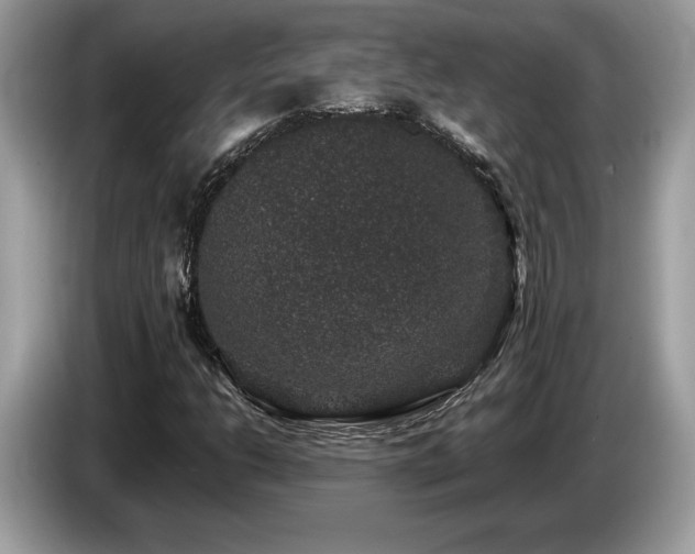 X0000087561206200704271220
