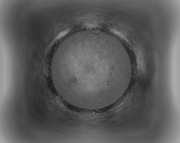 X0000087561207200704271220