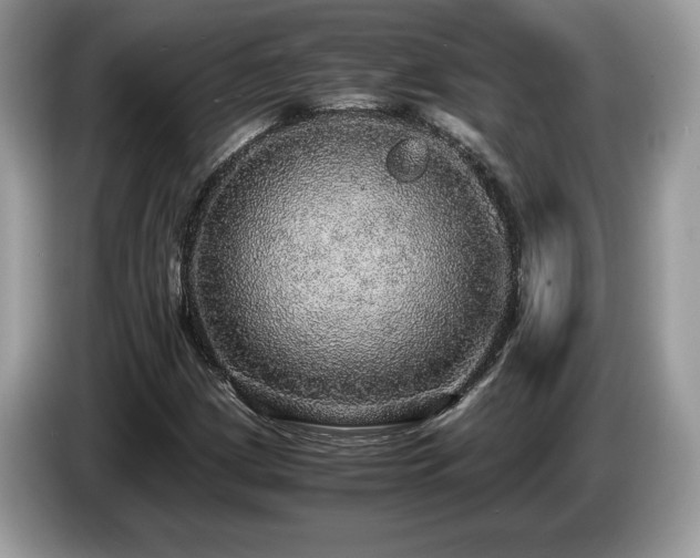 X0000087561209200704271220