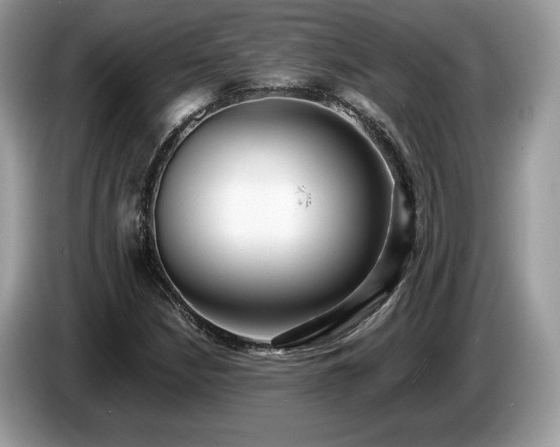X0000087561210200704271220