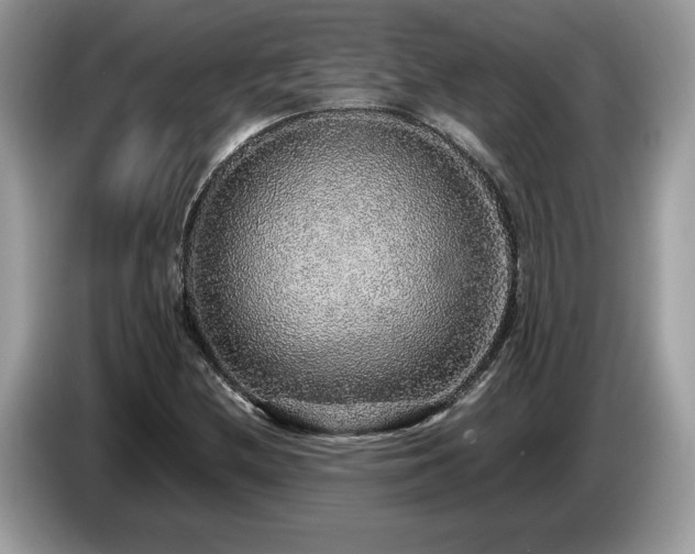 X0000087561212200704271220