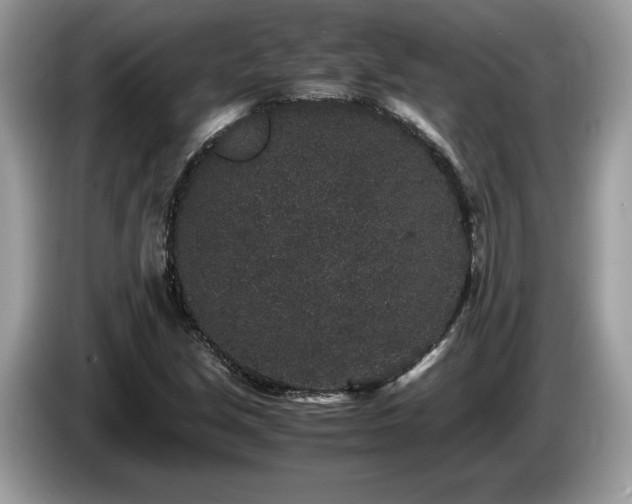 X0000087561213200704271220