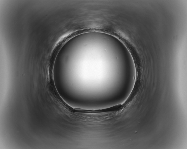 X0000087561214200704271220