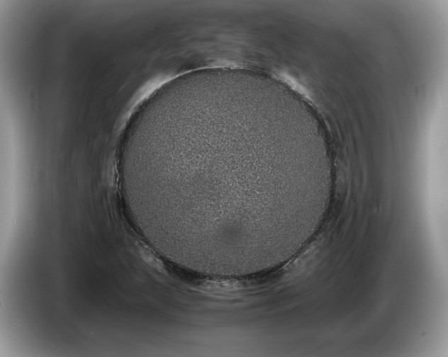 X0000087561215200704271220