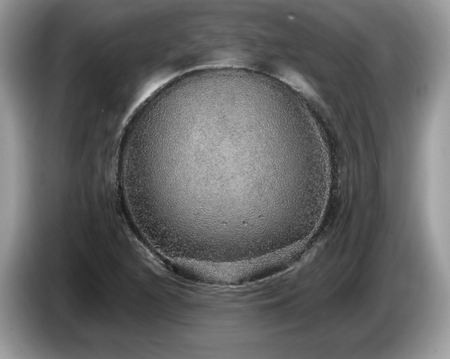X0000087561216200704271220