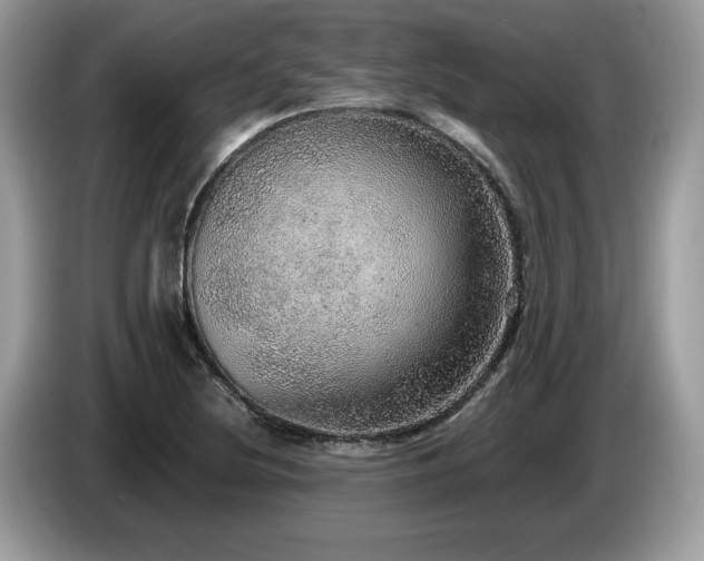 X0000087561220200704271220