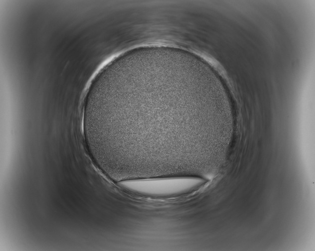 X0000087561224200704271220
