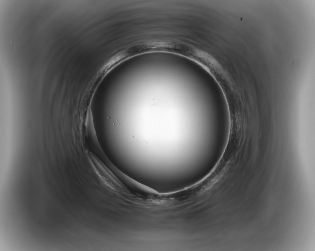 X0000087561225200704271220