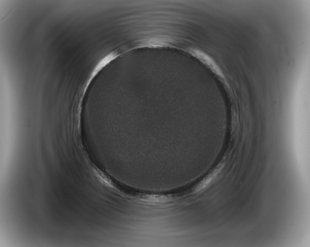 X0000087561226200704271220