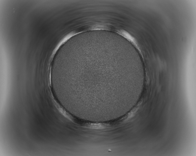 X0000087561227200704271220