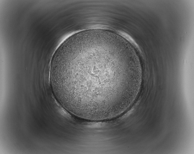 X0000087561228200704271220